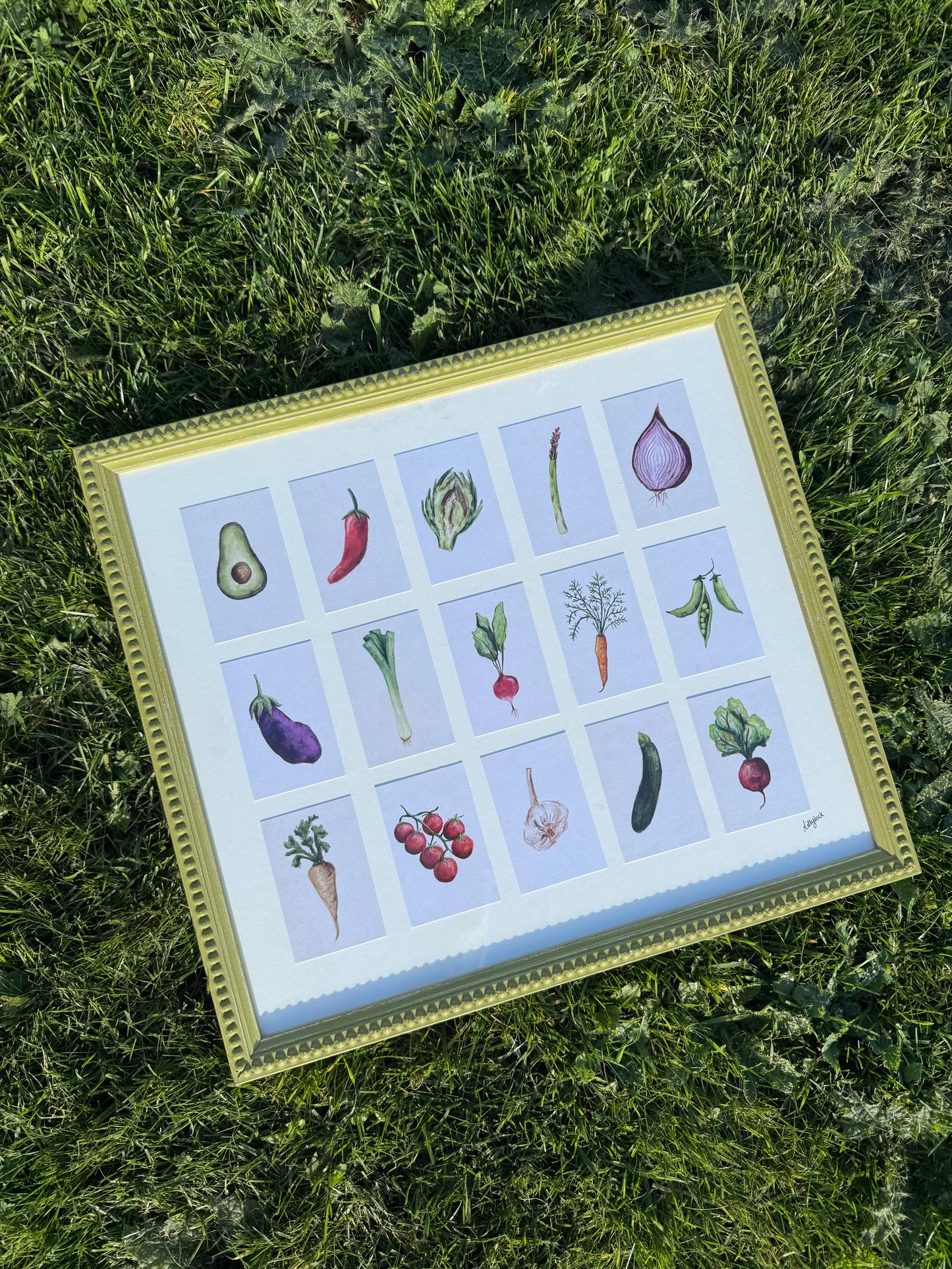 VEGETABLE COLLECTION