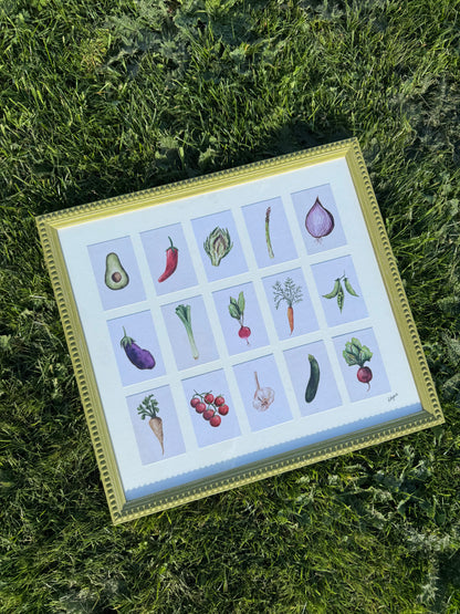 VEGETABLE COLLECTION