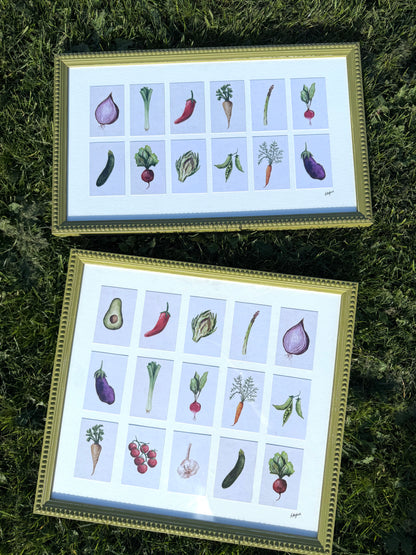 VEGETABLE COLLECTION