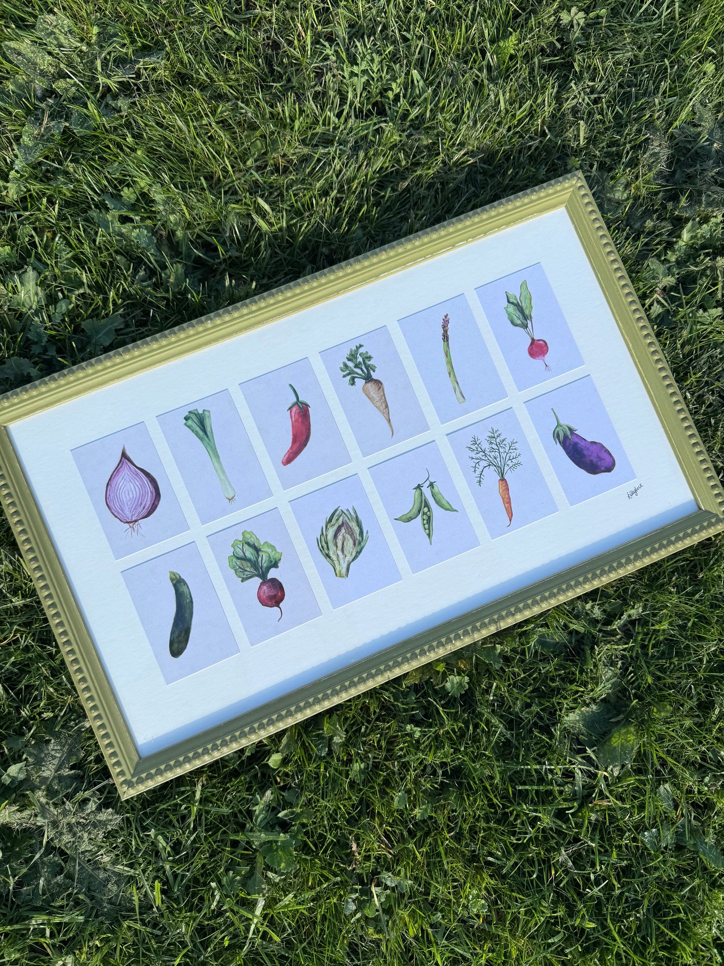 VEGETABLE COLLECTION