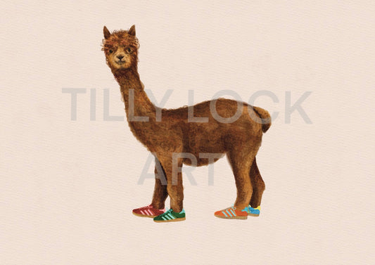 ALPACA IN SHOES
