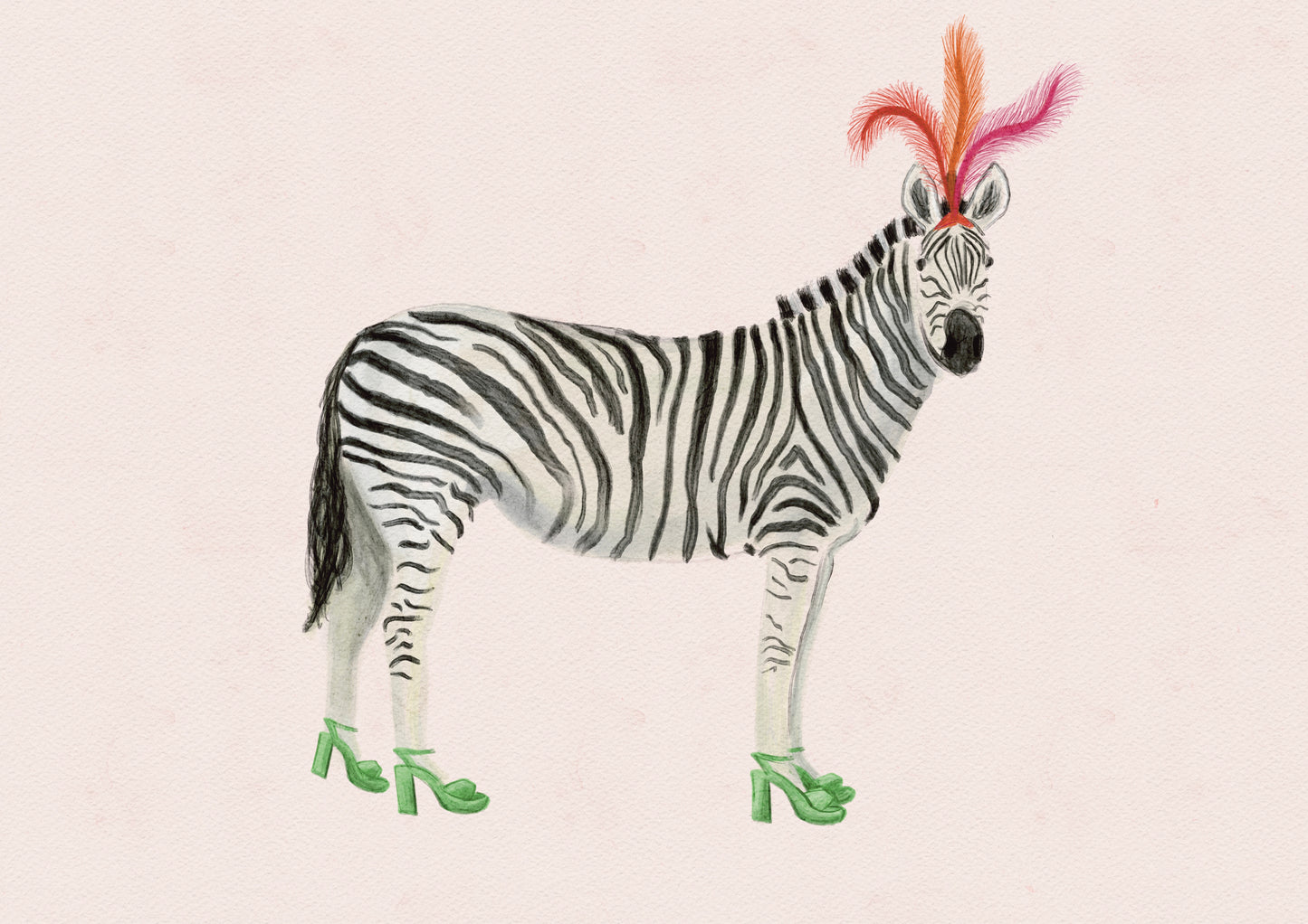 CARNIVAL ZEBRA