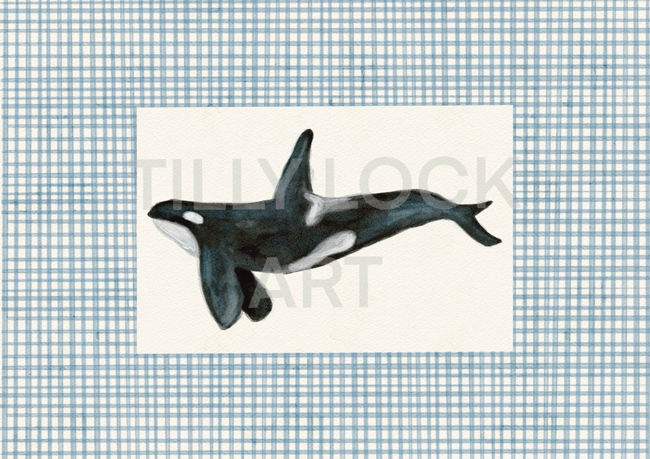 ORCA